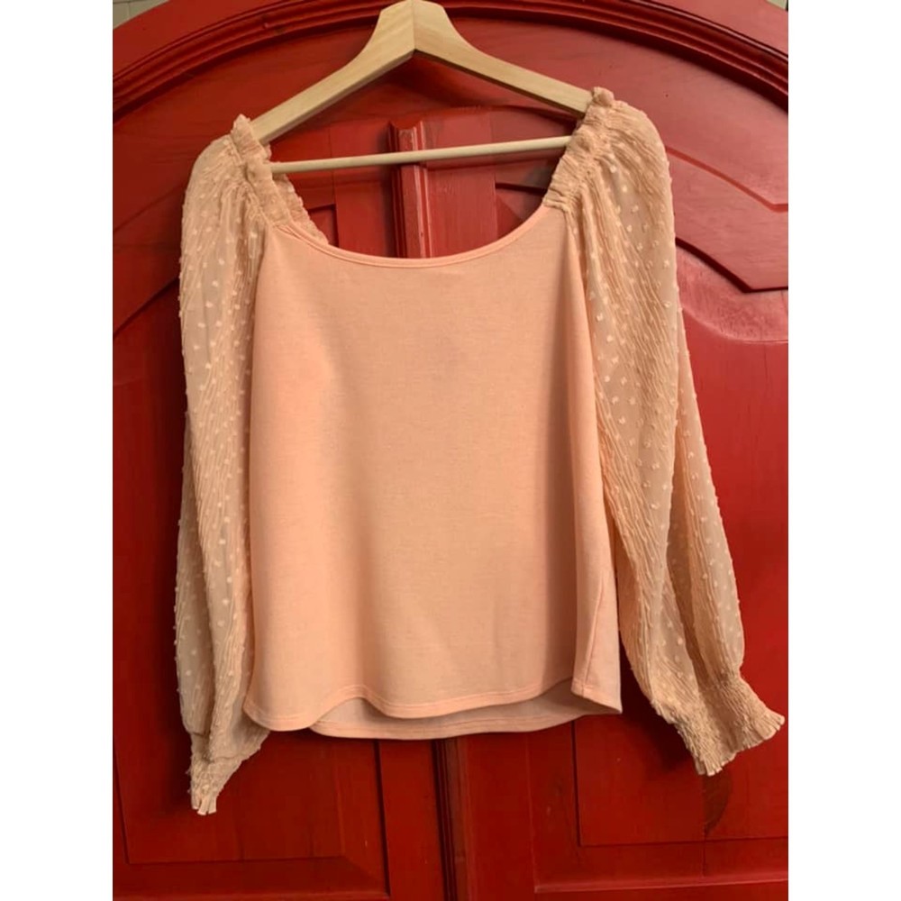 NWT Hailey & Co. Size M Peach Crop Top w Sheer Swiss Dot Bell Sleeves EUC CUTE
